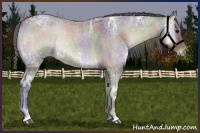 Horse Color:Nacre Smoky Blue Onyx Ice Roan 