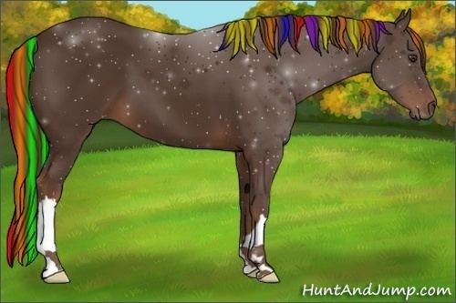 Horse Color:Painted Liver Chestnut