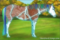 Horse Color:Painted Thunderstruck Bay Ice Splash 