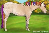 Horse Color:Painted Gold Champagne Ice