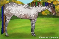 Horse Color:Painted Bay Ice 