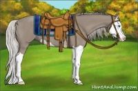 Horse Color:Silver Grullo Splash