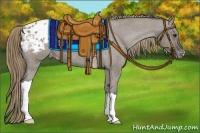 Horse Color:Smoky Grullo Varnish