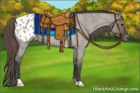 Horse Color:Smoky Grullo Roan Appaloosa 