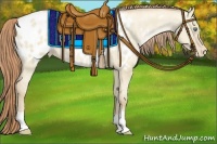 Horse Color:Smoky Grullo Pearl Appaloosa 