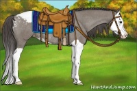 Horse Color:Grullo Splash Appaloosa Rabicano