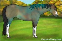 Horse Color:Gray Bay Dun 
