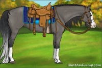 Horse Color:Grullo Roan Splash 