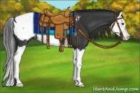 Horse Color:Black Splash Appaloosa 