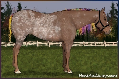 Horse Color:Painted Chestnut Ice Rabicano 