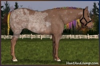Horse Color:Painted Chestnut Ice Rabicano