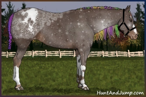 Horse Color:Painted Liver Chestnut Ice Appaloosa Rabicano