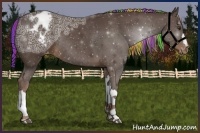 Horse Color:Painted Liver Chestnut Ice Appaloosa Rabicano 