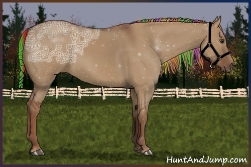 Horse Color:Painted Red Dun Ice 