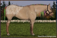 Horse Color:Painted Red Dun Ice 