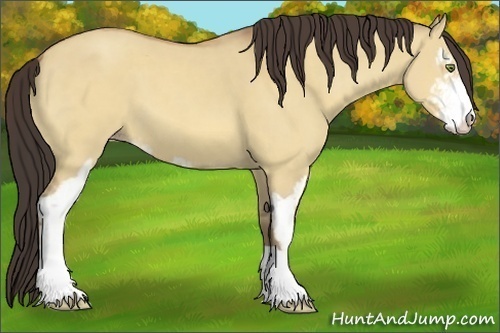 Horse Color:Amber Champagne Dun Sabino 