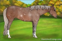 Horse Color:Silver Brown 