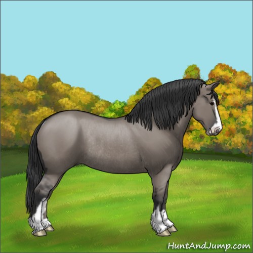 Horse Color:Grullo Sabino Rabicano 