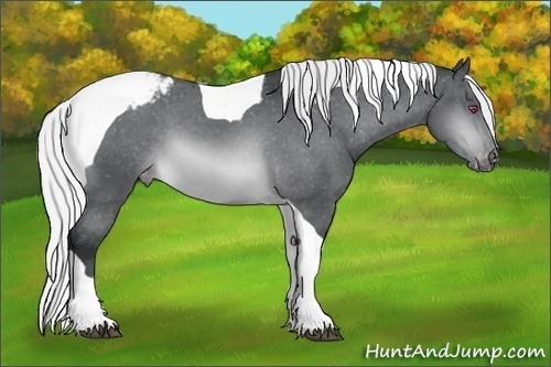 Horse Color:Silver Brown Chinchilla Tobiano Varnish 