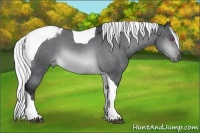 Horse Color:Silver Brown Chinchilla Tobiano Appaloosa