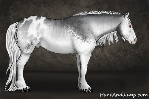 Horse Color:White Spotted Silver Brown Chinchilla Onyx Varnish Brindle