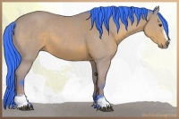 Horse Color:Watercolor Bay Sabino 