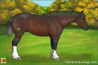 Horse Color:Brown 