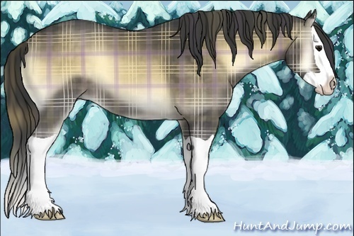 Horse Color:Plaid  Buckskin Onyx Splash 