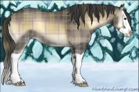 Horse Color:Plaid Buckskin Onyx Splash