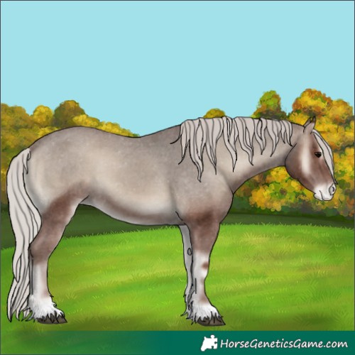 Horse Color:Silver Blue Onyx Varnish 