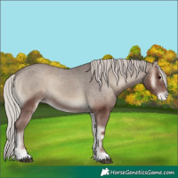 Horse Color:Silver Blue Onyx Varnish