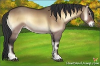 Horse Color:Brown Onyx 