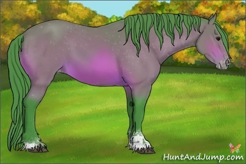 Horse Color:Watercolor Bay Sabino Appaloosa 