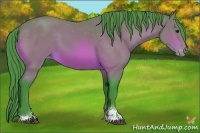 Horse Color:Watercolor Bay Sabino Appaloosa