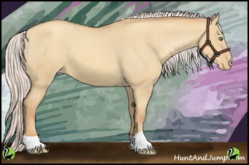 Horse Color:Silver Classic Champagne Dun Appaloosa