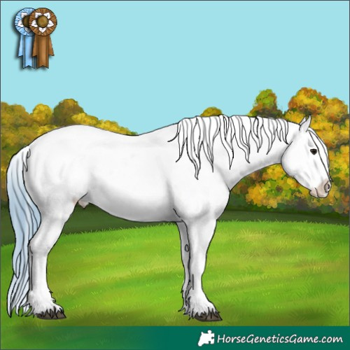 Horse Color:Watercolor Bay Appaloosa 