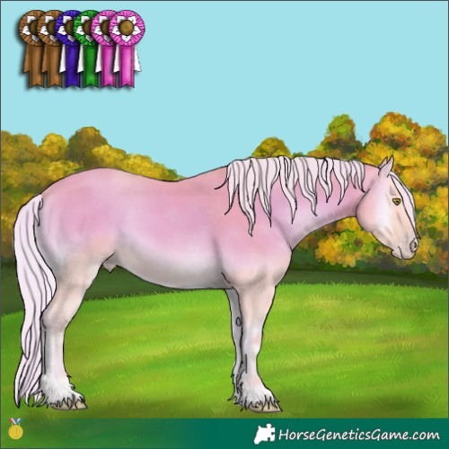Horse Color:Watercolor Silver Amber Cream Champagne Onyx 