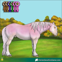 Horse Color:Watercolor Silver Amber Cream Champagne Onyx