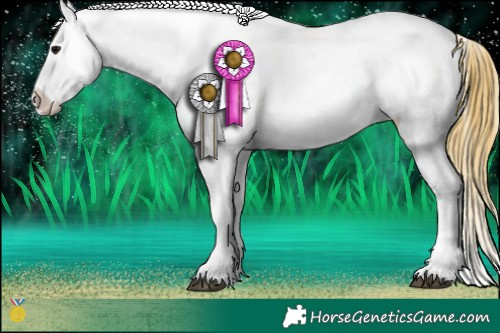 Horse Color:Watercolor Brown Ice Onyx Appaloosa