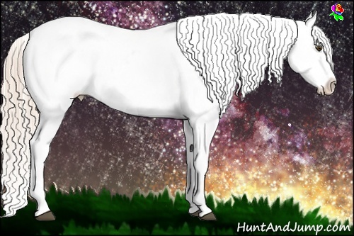 Horse Color:Palomino Dun Sabino Near Leopard 