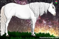 Horse Color:Palomino Dun Sabino Near Leopard 