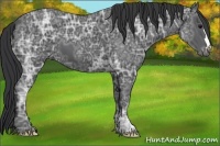Horse Color:Black Ice 