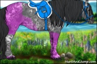 Horse Color:Black Ice 