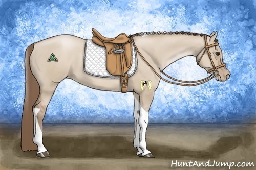 Horse Color:Grullo Pearl Tobiano