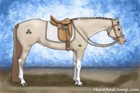 Horse Color:Grullo Pearl Tobiano 