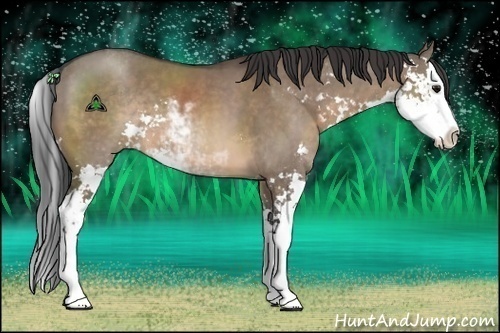 Horse Color:Brown Dun Sabino Splash 