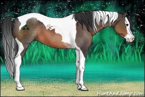 Horse Color:Brown Sabino Splash Tobiano 