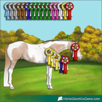 Horse Color:Black Pearl Sabino Splash Tobiano 