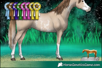 Horse Color:Grullo Pearl Sabino Splash 