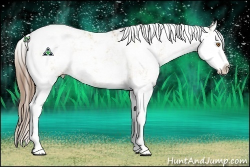 Horse Color:Brown Pearl Dun Sabino Splash